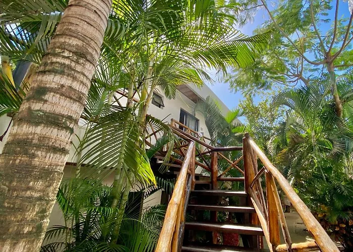 Hotel Pacha Boutique 4*