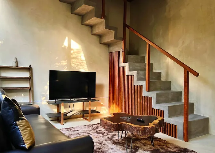 Hotel Pacha Boutique