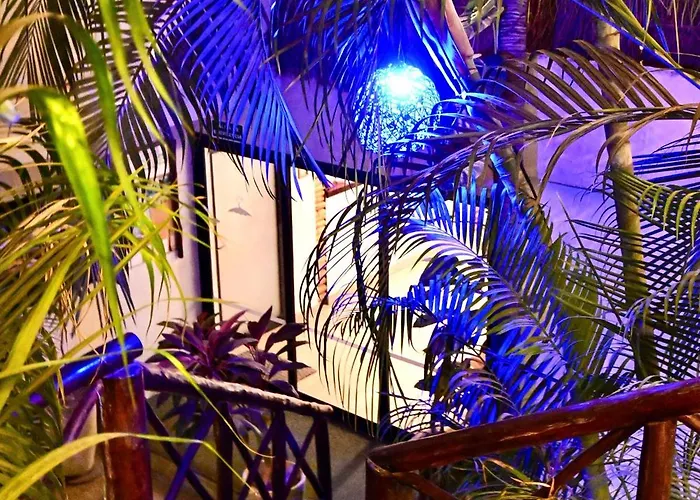 Pacha Boutique Tulum
