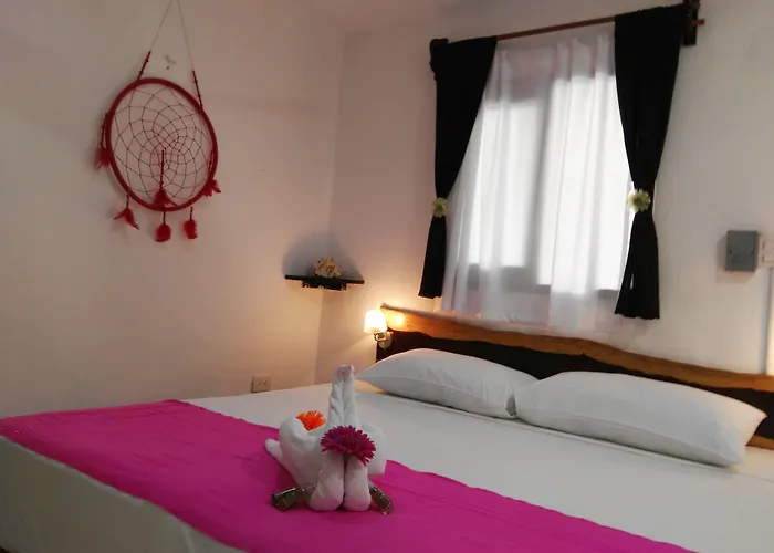 Pacha Boutique 4*