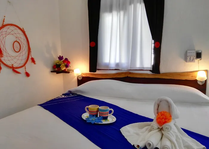 Pacha Boutique Hotel