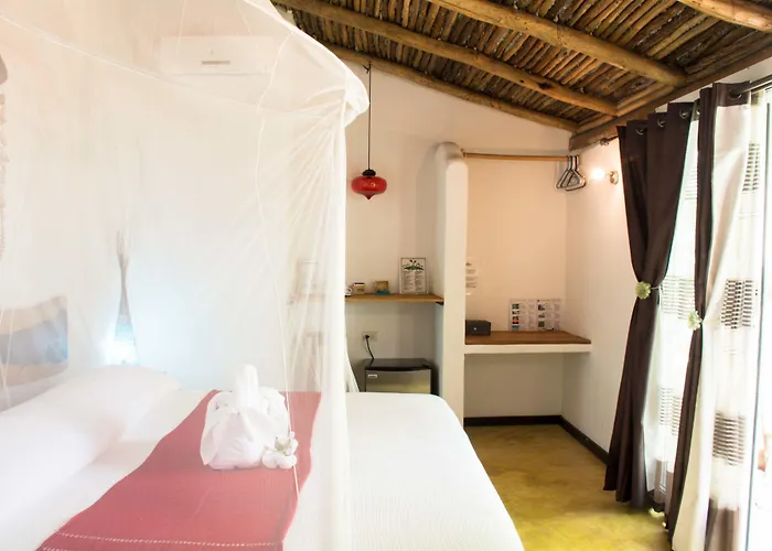 Hotel Pacha Boutique