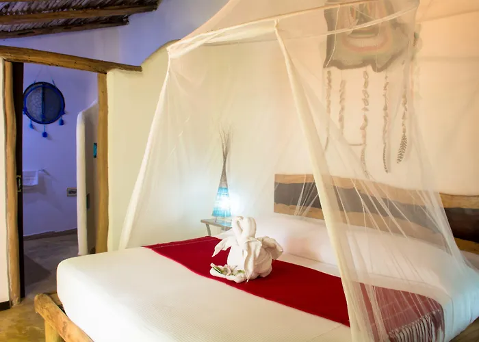 Hotel Pacha Boutique