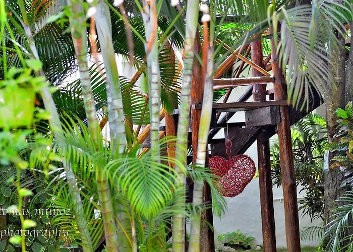 Pacha Boutique 4* Tulum