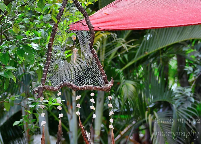 Pacha Boutique Tulum