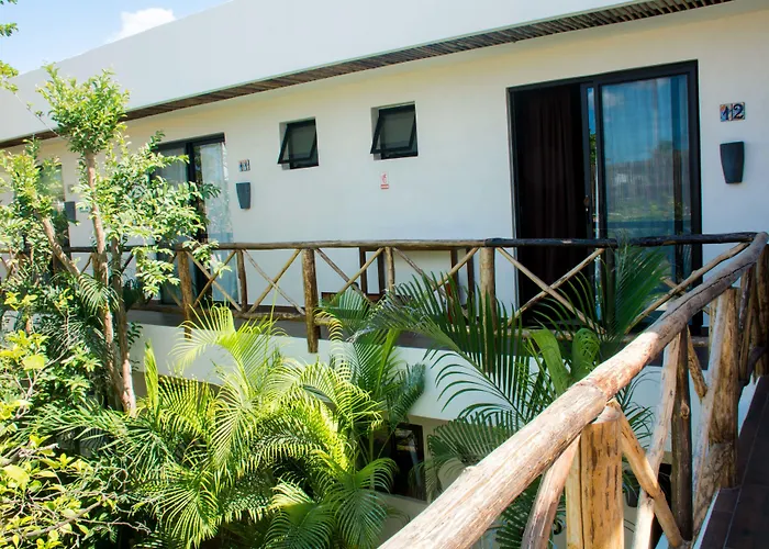Hotel Pacha Boutique 4*