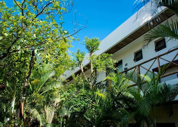 Pacha Boutique Hotel 4*
