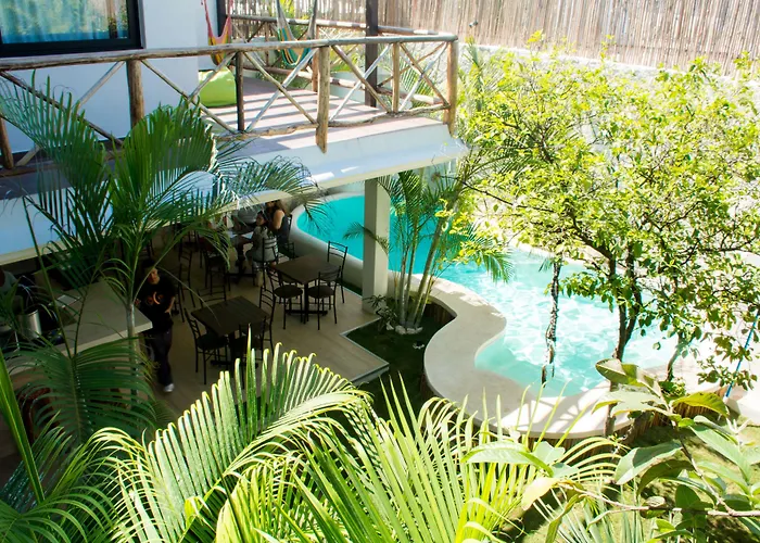 Hotel Pacha Boutique