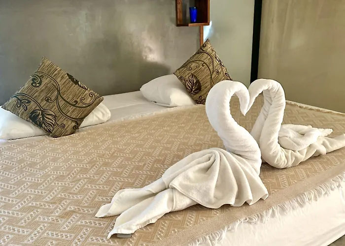 Hotel Pacha Boutique 4*