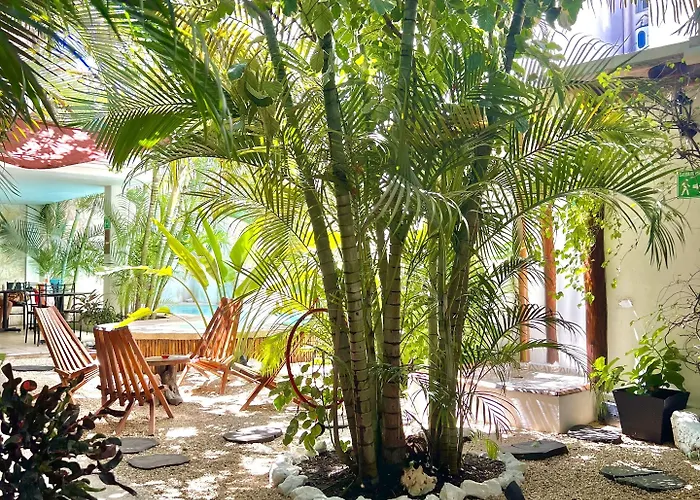 Pacha Boutique Hotel 4*