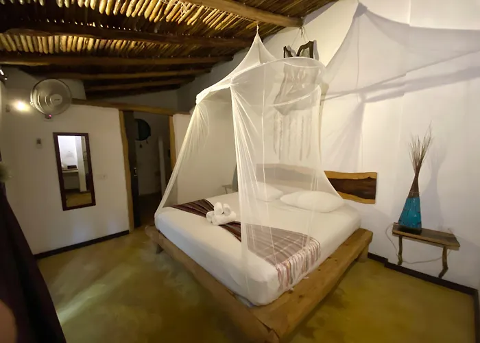 Hotel Pacha Boutique