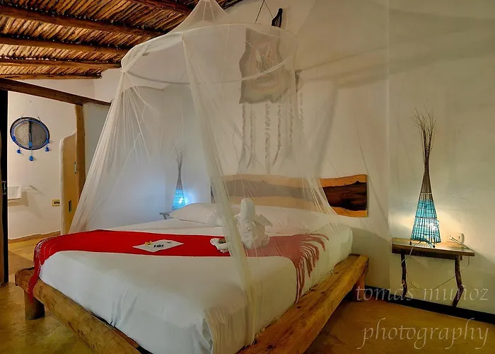 Pacha Boutique Hotel