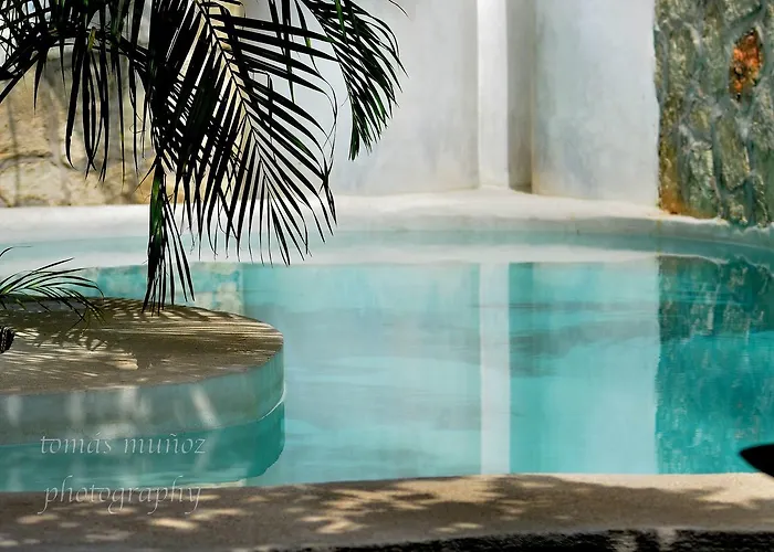 Pacha Boutique Hotel